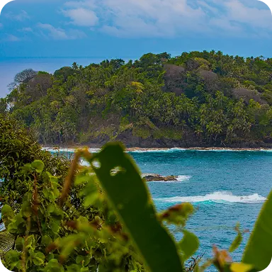 Tour Isla Grande
